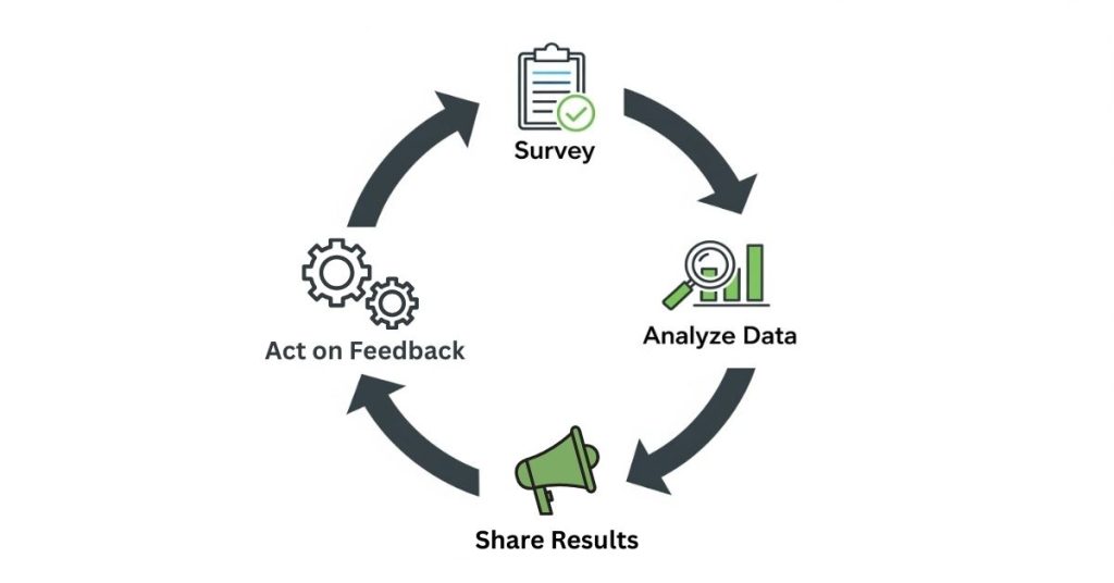 A circular diagram illustrating feedback loop for effective survey management.
